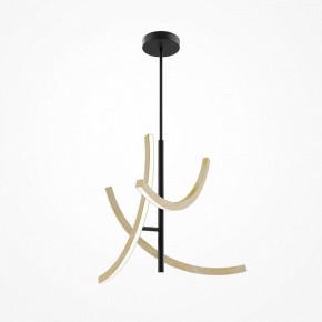 Люстра на штанге Maytoni Wabi MOD428PL-L27BK в Когалыме - kogalym.ok-mebel.com | фото 5