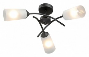 Люстра на штанге Vitaluce V2850 V2850-1/3PL в Когалыме - kogalym.ok-mebel.com | фото 2