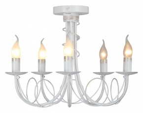 Люстра на штанге Vitaluce V3035 V3035-0/5PL в Когалыме - kogalym.ok-mebel.com | фото 2
