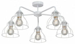 Люстра на штанге Vitaluce V3102 V3102-0/5PL в Когалыме - kogalym.ok-mebel.com | фото