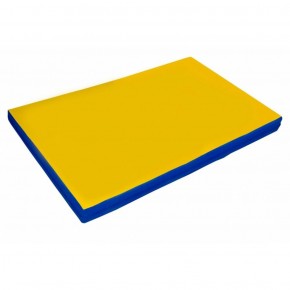 Мат гимнастический, прямоугольный. Длина 2 м, ширина 1 м, толщина 8 см синий-желтый   в Когалыме - kogalym.ok-mebel.com | фото