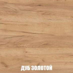 МСП-1 Шкаф 2-х створчатый (Дуб Золотой/Камень темный) в Когалыме - kogalym.ok-mebel.com | фото 4