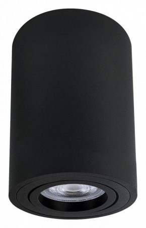 Накладной светильник Arte Lamp Sentry A1566PL-1BK в Когалыме - kogalym.ok-mebel.com | фото
