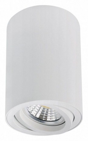 Накладной светильник Arte Lamp Sentry A1566PL-1WH в Когалыме - kogalym.ok-mebel.com | фото