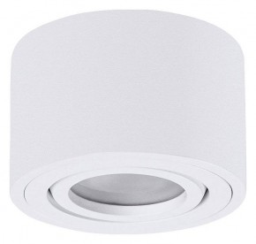 Накладной светильник Arte Lamp Unito A0550PL-1WH в Когалыме - kogalym.ok-mebel.com | фото