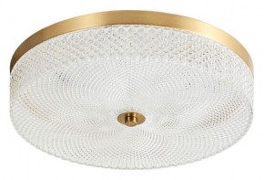 Накладной светильник Arti Lampadari Viro Viro L 1.13.35x7 G в Когалыме - kogalym.ok-mebel.com | фото