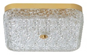 Накладной светильник Arti Lampadari Viro Viro L 1.13.36x36 G в Когалыме - kogalym.ok-mebel.com | фото
