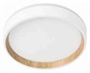 Накладной светильник Citilux Etalon CL750180 в Когалыме - kogalym.ok-mebel.com | фото