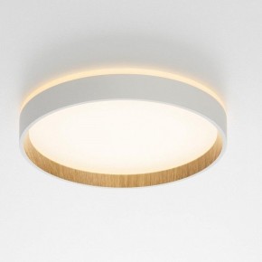 Накладной светильник Citilux Etalon CL750240 в Когалыме - kogalym.ok-mebel.com | фото 12