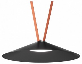Накладной светильник Denkirs Belty Flow DK5668-BK в Когалыме - kogalym.ok-mebel.com | фото