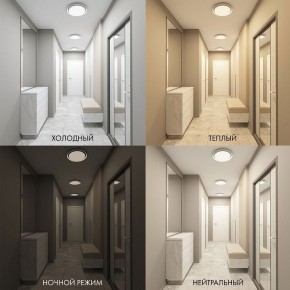 Накладной светильник Denkirs Cany DK6516-WH в Когалыме - kogalym.ok-mebel.com | фото 2