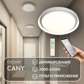 Накладной светильник Denkirs Cany DK6516-WH в Когалыме - kogalym.ok-mebel.com | фото 4