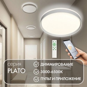 Накладной светильник Denkirs PLATO DK6511-WH/1 в Когалыме - kogalym.ok-mebel.com | фото 4