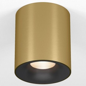 Накладной светильник Elektrostandard Primo 25116/LED в Когалыме - kogalym.ok-mebel.com | фото