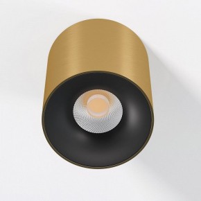 Накладной светильник Elektrostandard Primo 25116/LED в Когалыме - kogalym.ok-mebel.com | фото