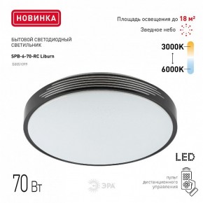 Накладной светильник Эра Классик SPB-6-70-RC Liburn в Когалыме - kogalym.ok-mebel.com | фото 10