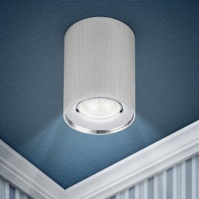 Накладной светильник Эра  OL1 GU10 SL/CH в Когалыме - kogalym.ok-mebel.com | фото 3