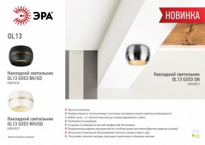 Накладной светильник Эра OL13 GX53 SN Б0049031 в Когалыме - kogalym.ok-mebel.com | фото 5