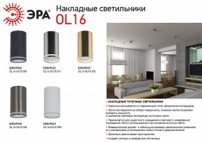 Накладной светильник Эра OL16 GU10 BK Б0049042 в Когалыме - kogalym.ok-mebel.com | фото 3