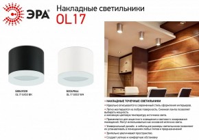 Накладной светильник Эра OL17 GX53 BK Б0049028 в Когалыме - kogalym.ok-mebel.com | фото 3