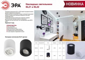 Накладной светильник Эра OL21 BK Б0054393 в Когалыме - kogalym.ok-mebel.com | фото 2