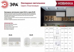 Накладной светильник Эра OL24-2 WH Б0054382 в Когалыме - kogalym.ok-mebel.com | фото 2