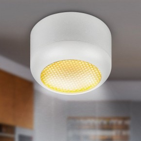 Накладной светильник Эра  OL56 WH в Когалыме - kogalym.ok-mebel.com | фото 8