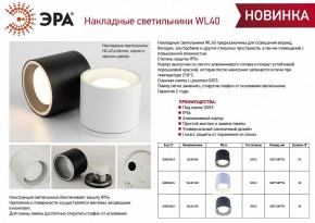 Накладной светильник Эра WL40 GR Б0054416 в Когалыме - kogalym.ok-mebel.com | фото 3