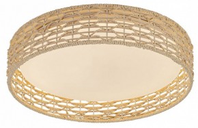 Накладной светильник F-promo Conrad 4749-4C в Когалыме - kogalym.ok-mebel.com | фото 2