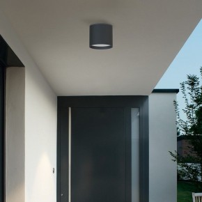 Накладной светильник Favourite Fantum 4663-1U в Когалыме - kogalym.ok-mebel.com | фото 3