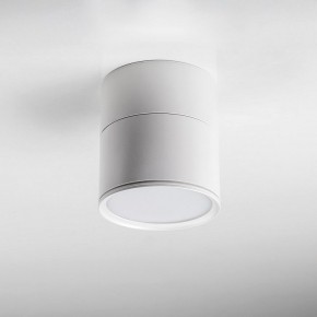 Накладной светильник Lightstar Acuto 215886 в Когалыме - kogalym.ok-mebel.com | фото 3