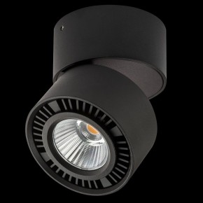 Накладной светильник Lightstar Forte Muro 214817 в Когалыме - kogalym.ok-mebel.com | фото 2