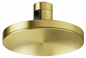Накладной светильник Maytoni Plato TR152-1-7W4K-BS в Когалыме - kogalym.ok-mebel.com | фото