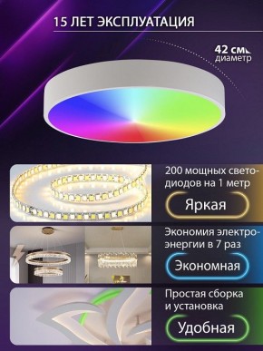 Накладной светильник Natali Kovaltseva MODERN LED LAMPS 81105/1C в Когалыме - kogalym.ok-mebel.com | фото 6