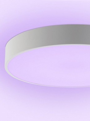 Накладной светильник Natali Kovaltseva MODERN LED LAMPS 81105/1C в Когалыме - kogalym.ok-mebel.com | фото 9