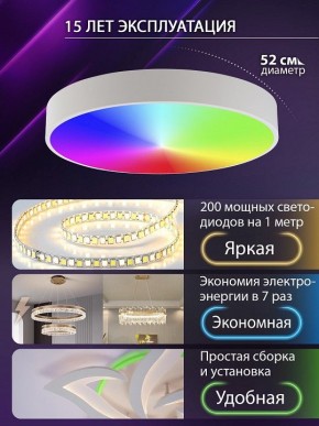 Накладной светильник Natali Kovaltseva MODERN LED LAMPS 81105/2C в Когалыме - kogalym.ok-mebel.com | фото 6