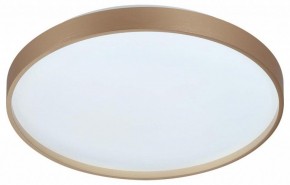 Накладной светильник Sonex Gaby 7783/DL в Когалыме - kogalym.ok-mebel.com | фото 4