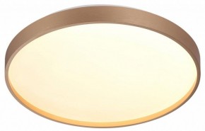 Накладной светильник Sonex Gaby 7783/DL в Когалыме - kogalym.ok-mebel.com | фото 5