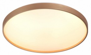 Накладной светильник Sonex Gaby 7783/EL в Когалыме - kogalym.ok-mebel.com | фото 5