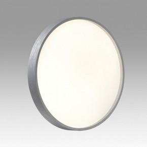 Накладной светильник Sonex Gaby 7784/CL в Когалыме - kogalym.ok-mebel.com | фото 2