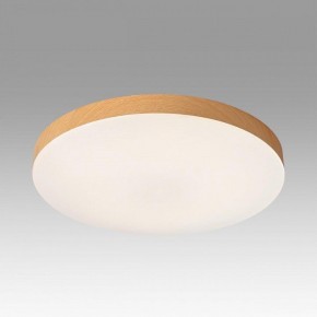 Накладной светильник Sonex Gamma 7761/24L в Когалыме - kogalym.ok-mebel.com | фото 3