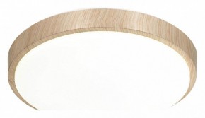 Накладной светильник Sonex Losta 7607/CL в Когалыме - kogalym.ok-mebel.com | фото 4