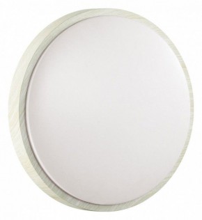 Накладной светильник Sonex Losta 7628/DL в Когалыме - kogalym.ok-mebel.com | фото 6