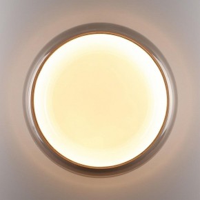 Накладной светильник Sonex PORTMAN 7777/DLN в Когалыме - kogalym.ok-mebel.com | фото 6
