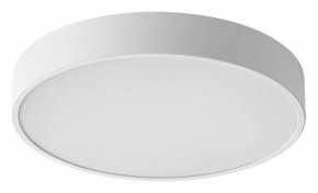 Накладной светильник Sonex Quasar 7755/36L в Когалыме - kogalym.ok-mebel.com | фото