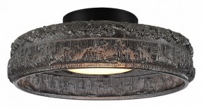 Накладной светильник ST-Luce ANTIKE SL6143.412.01 в Когалыме - kogalym.ok-mebel.com | фото 2