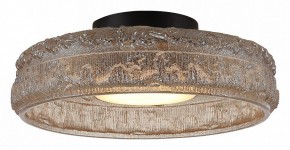 Накладной светильник ST-Luce ANTIKE SL6143.422.01 в Когалыме - kogalym.ok-mebel.com | фото 3