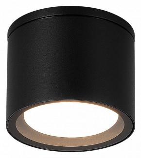 Накладной светильник ST-Luce Tubo SL9006.402.01 в Когалыме - kogalym.ok-mebel.com | фото 2