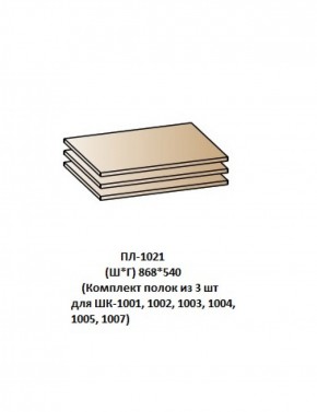 ПЛ-1021 (Комплект полок из 3 шт для ШК-1001, 1002, 1003, 1004, 1005, 1007) в Когалыме - kogalym.ok-mebel.com | фото