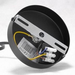 Подвесная люстра Lussole Kenner GRLSP-8271 в Когалыме - kogalym.ok-mebel.com | фото 7
